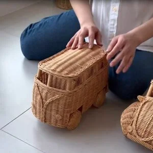 1 Capture 1