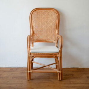 Rattan - Grandpa's chair