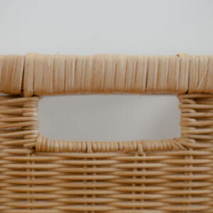 3 furniture aksesoris rotan chest 513x420 1