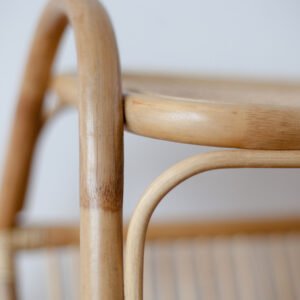 Rattan - Citra Magazine Rack 5 3. Furniture Rak Citra Magazine Rack