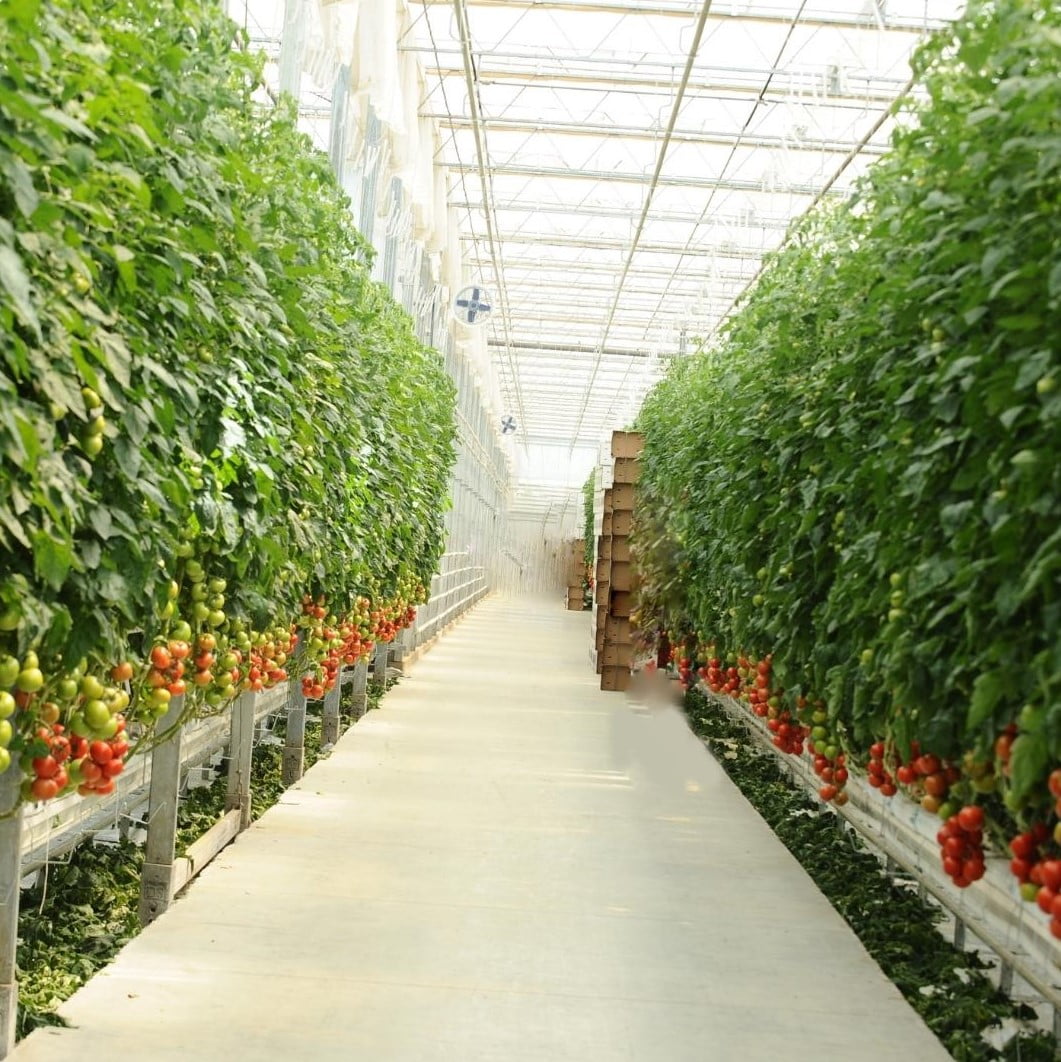 Farming