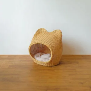 Rotan Kucing 02