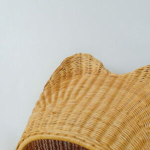 Rotan Kucing 03 513x420 1