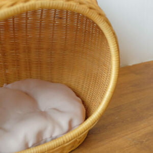 Rotan Kucing 04 513x420 1