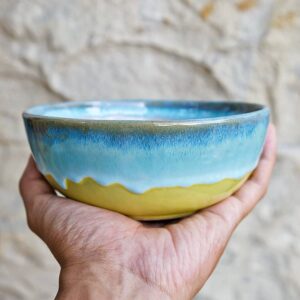 Ceramic - Bowl Glossy 15 bglossy4