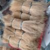 iNDONESIAKING BRISTLE