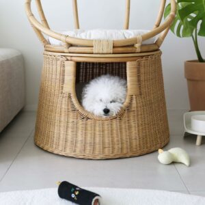 Rattan - People Sofa With Pet House 4 unknown 328303172 680182543787233 2189310887259857180 n