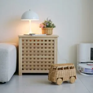 Rattan - Bemo Bus
