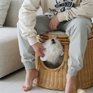 Rattan - People Sofa With Pet House 3 unknown 332972681 585769946774098 1039516389774460046 n